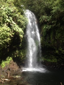 Amber Mountain National Park