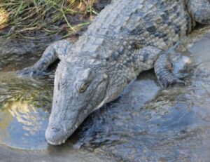 Cultural and natural sights