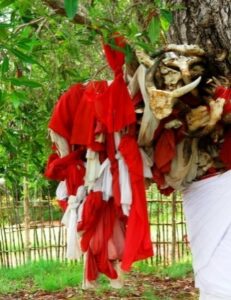 Cultural and natural sights