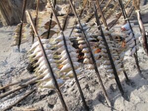 Imersion in Sakalava Country