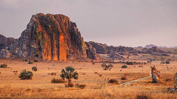 Isalo National park sunset landscape in a nature scene in Madagascar, Africa