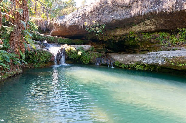 Jour 02 Fort Dauphin - Isalo National Park