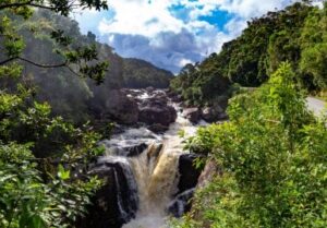 Jour 04 Antsirabe – Ranomafana National Park