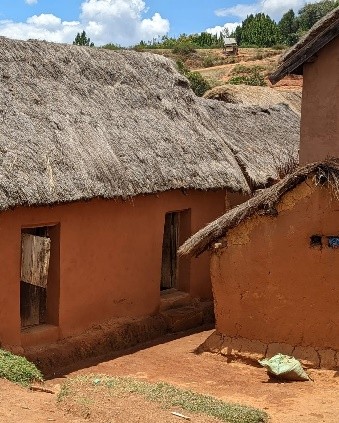 Jour 11 Antananarivo – Talatavolonondry