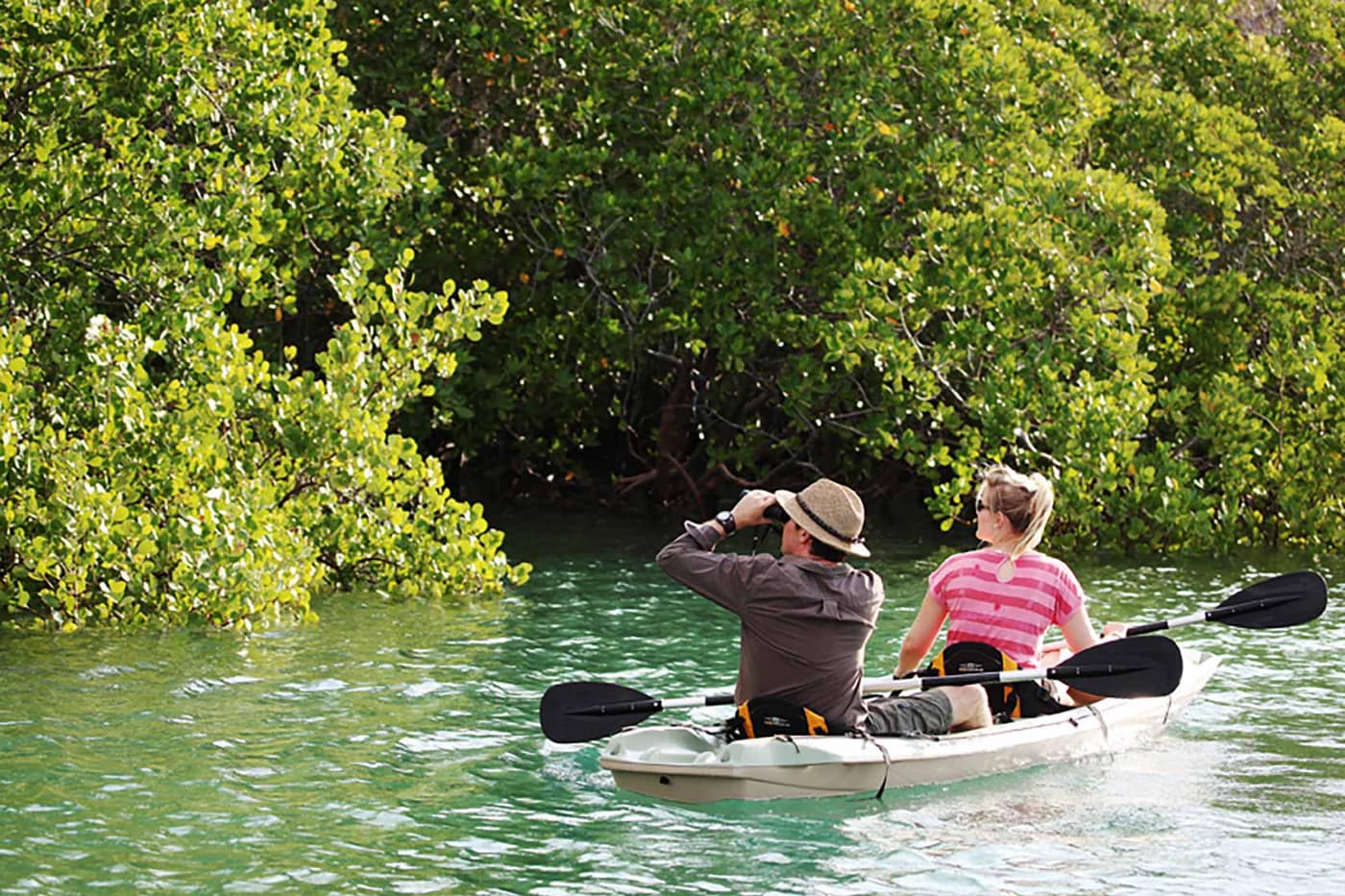 Two travellers kayaking along the edge of the mangrove