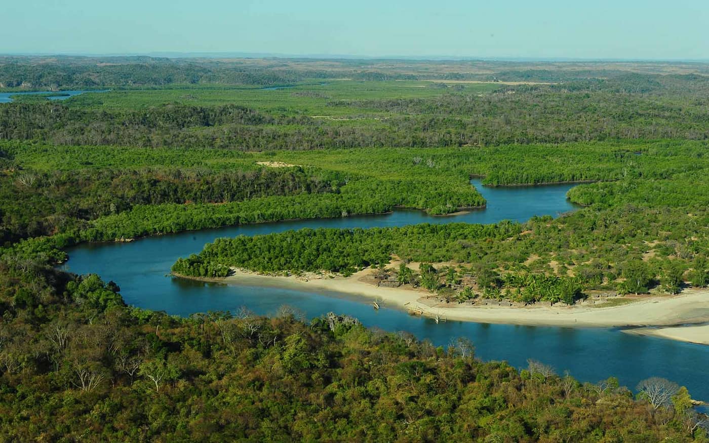 Aerial view of a river winding between mangroves and forest