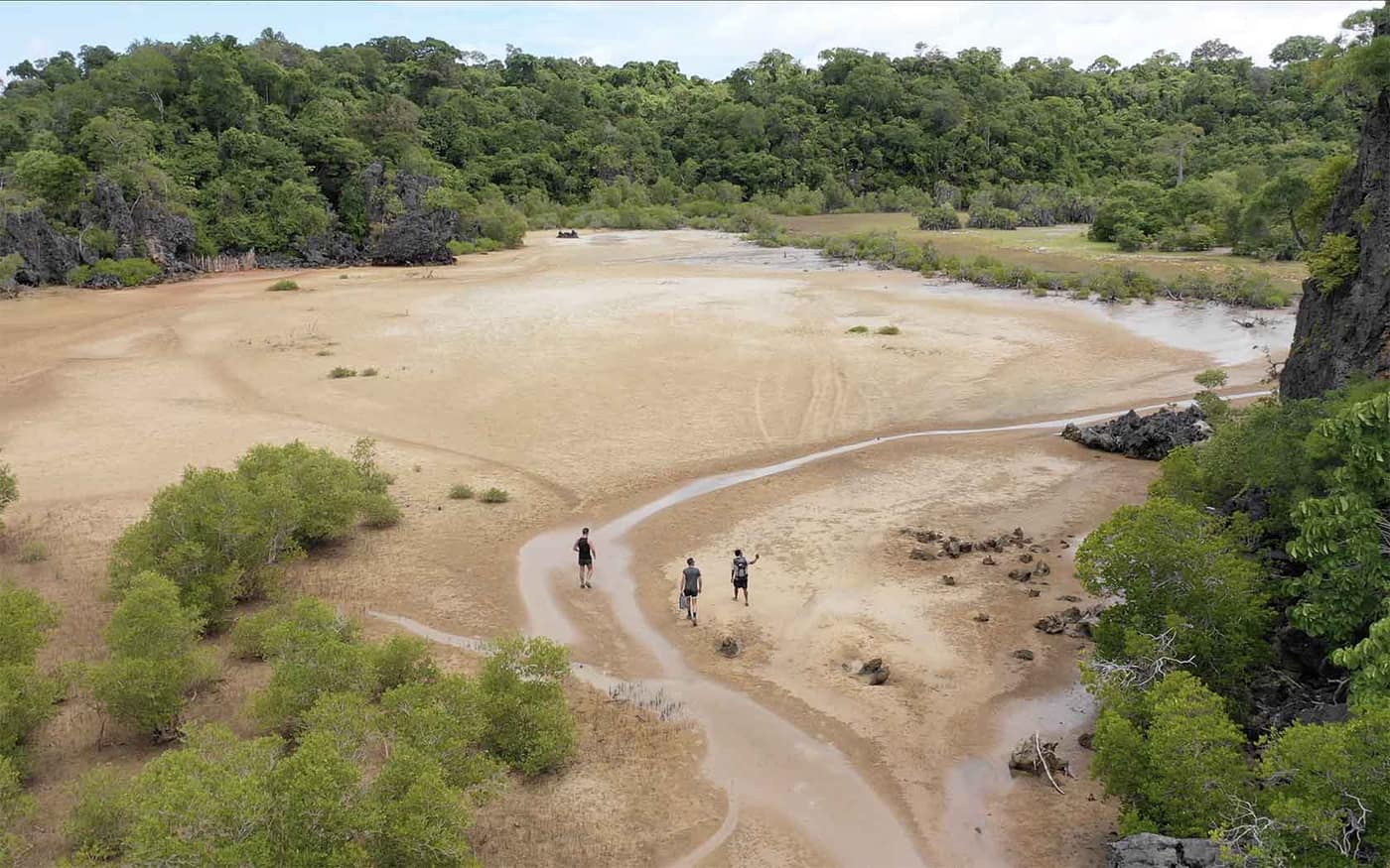 Hikers crossing a vast stretch of sand bordered by forest