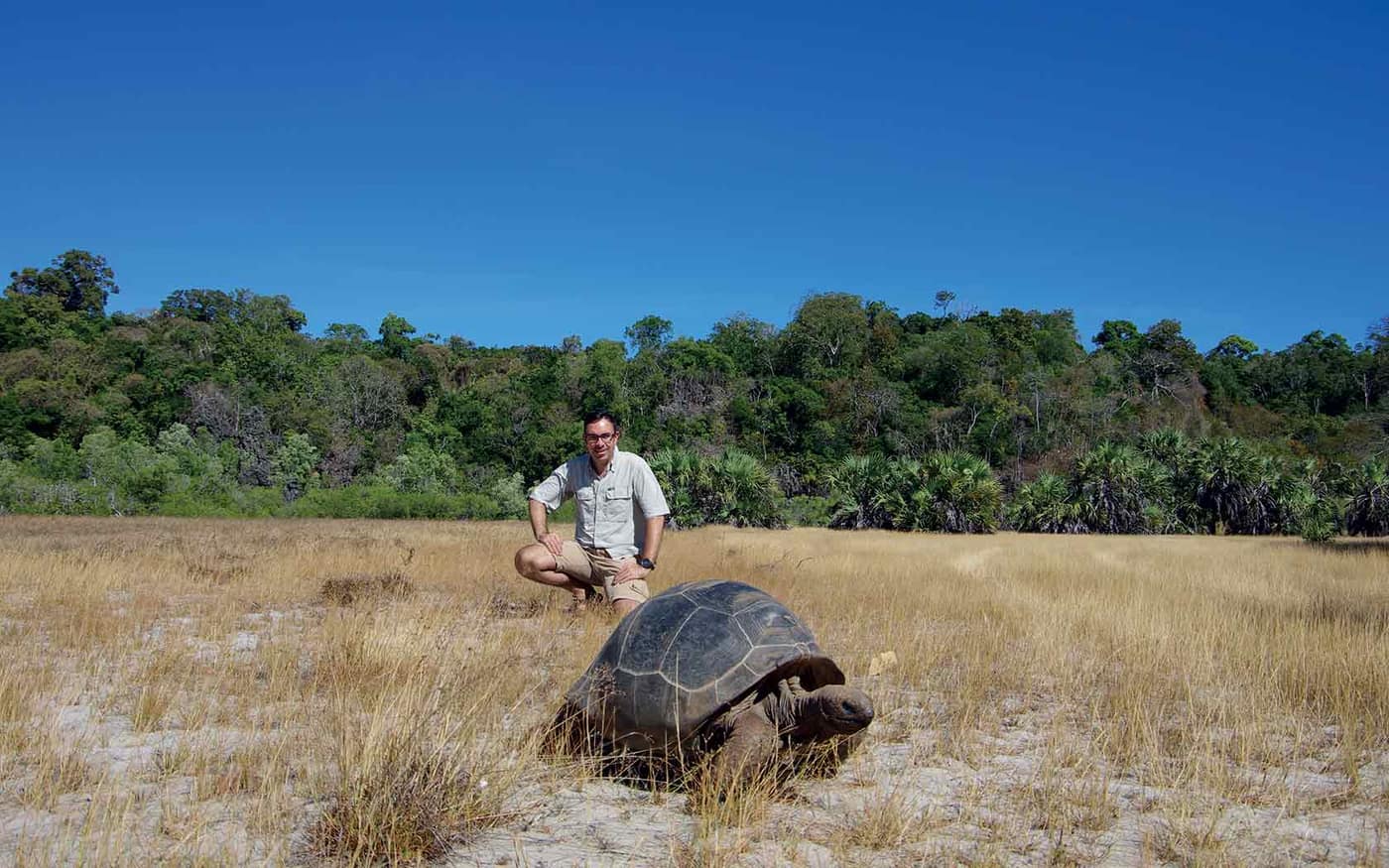 A traveller crouching next to a giant tortoise, in a meadow bordered by forest