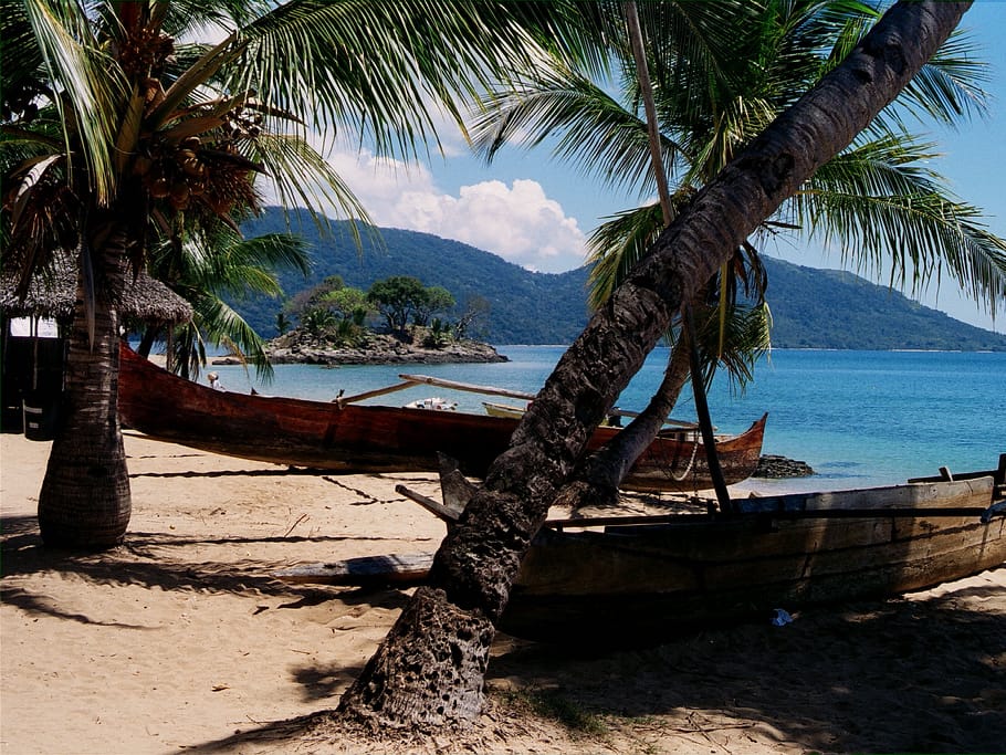 Wooden canoes pulled up on the sand beneath leaning coconut palms, facing a wooded islet and a mountainous coast, on a beach at Nosy Komba.
