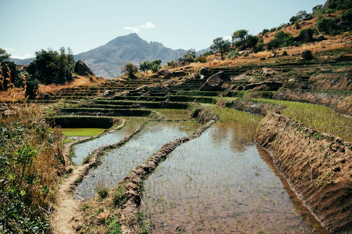 The Malagasy Highlands