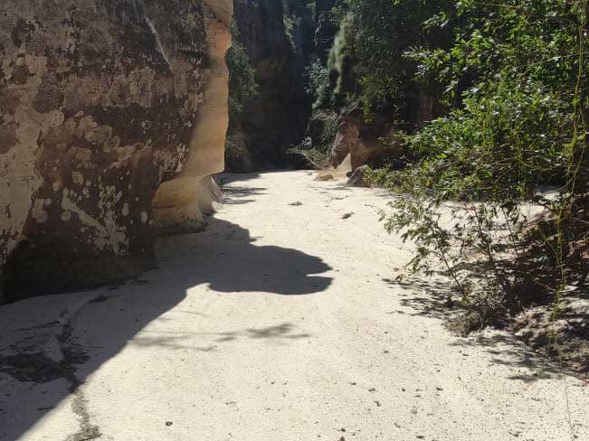 Sandy canyon floor between a rock wall and dense vegetation in the Makay massif.