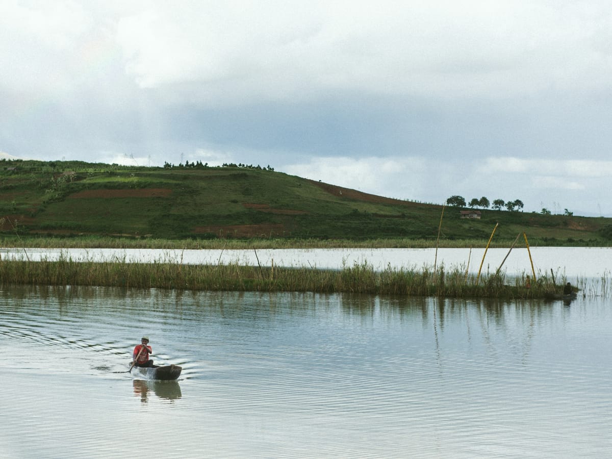 A man paddling alone in a small dugout across a calm lake, in front of a strip of reeds and a green hillside under a cloudy sky.