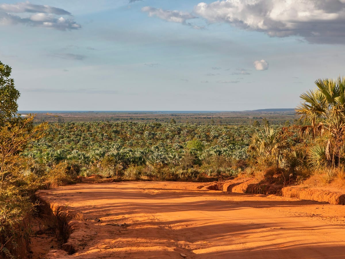 A red laterite track opening onto a vast savannah of fan palms stretching to the sea, in the Mahajanga region.