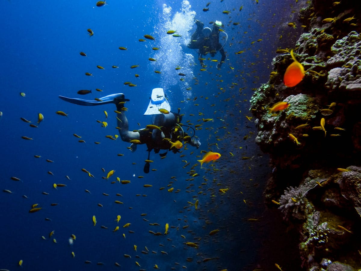 Two scuba divers follow a coral wall through a cloud of small orange fish in deep blue water.