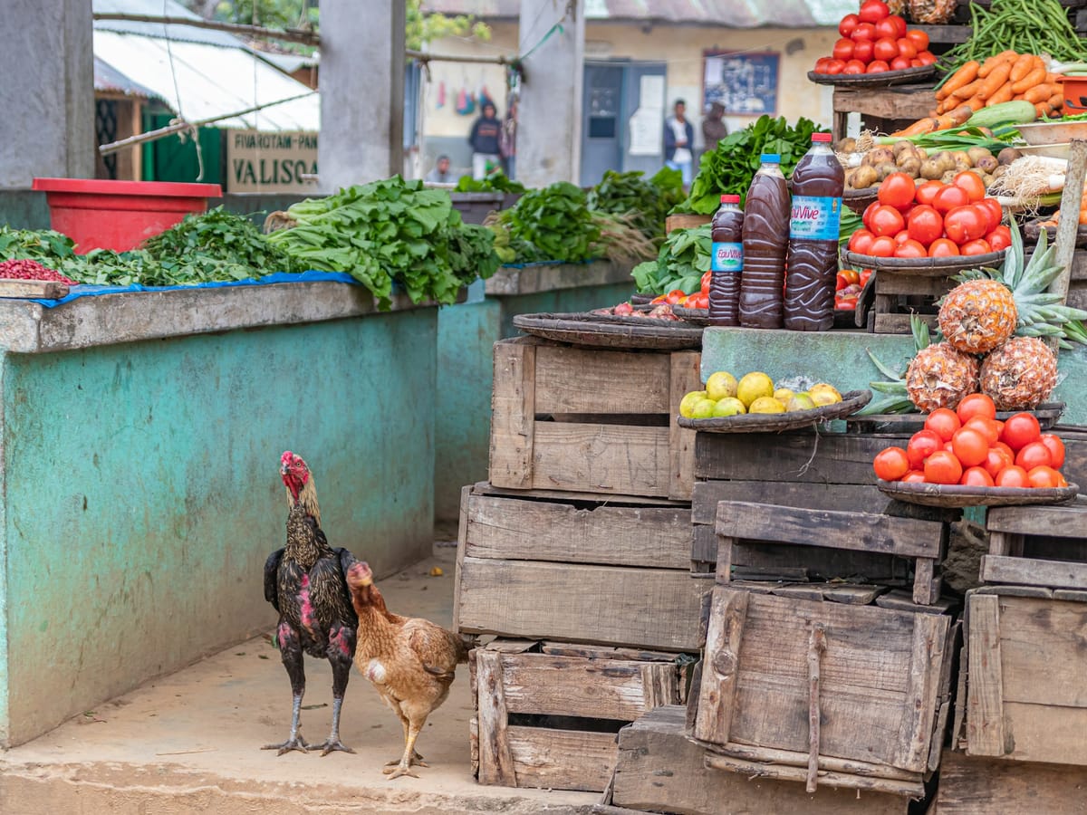 Stalls at a covered market piled with leafy greens, tomatoes, pineapples and bottles on wooden crates, with a rooster and a hen in the foreground, in Madagascar.