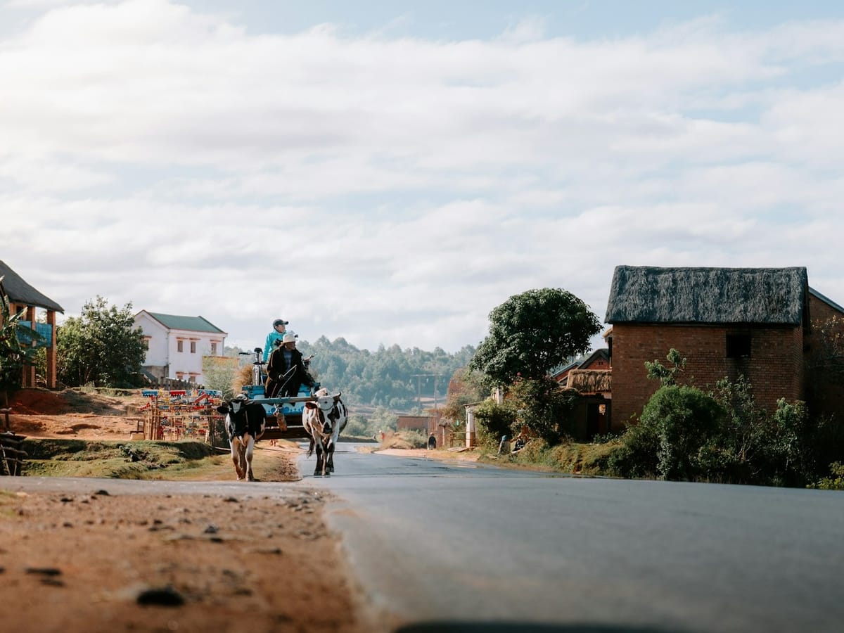 A grandfather and his grandson on a cart pulled by two oxen, at the side of the national road between Antananarivo and Antsirabe.