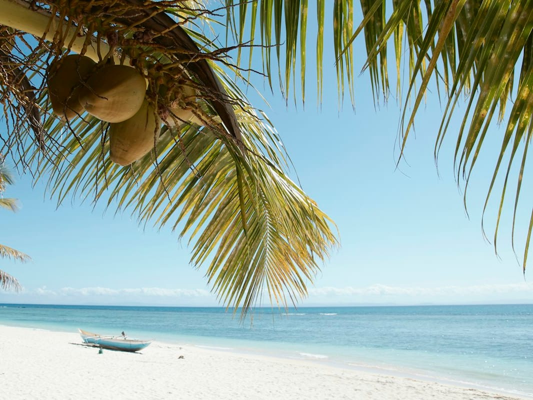 Coconut palm fronds above a white-sand beach and a small boat on Île aux Nattes, Sainte-Marie.