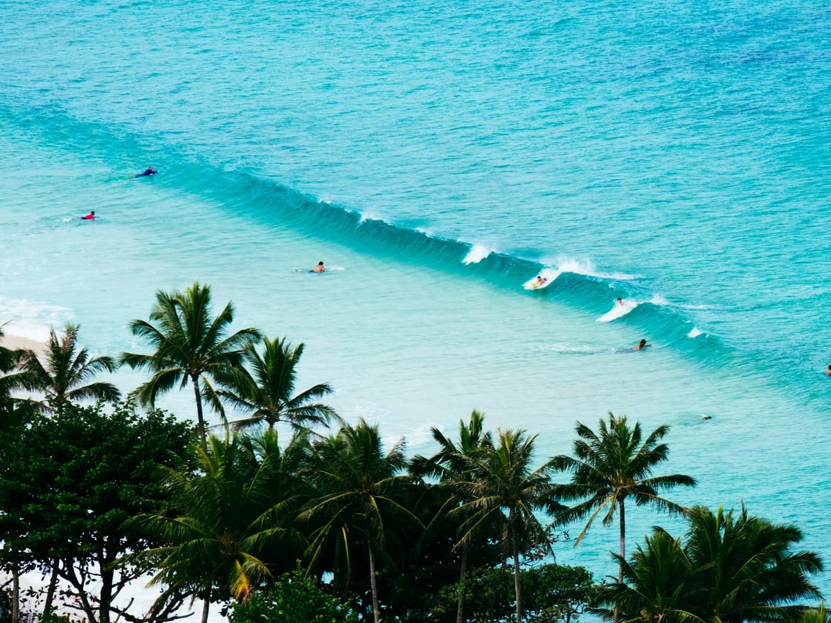 Looking down over a row of coconut palms onto a turquoise sea, where a few surfers wait for or ride a peeling wave.