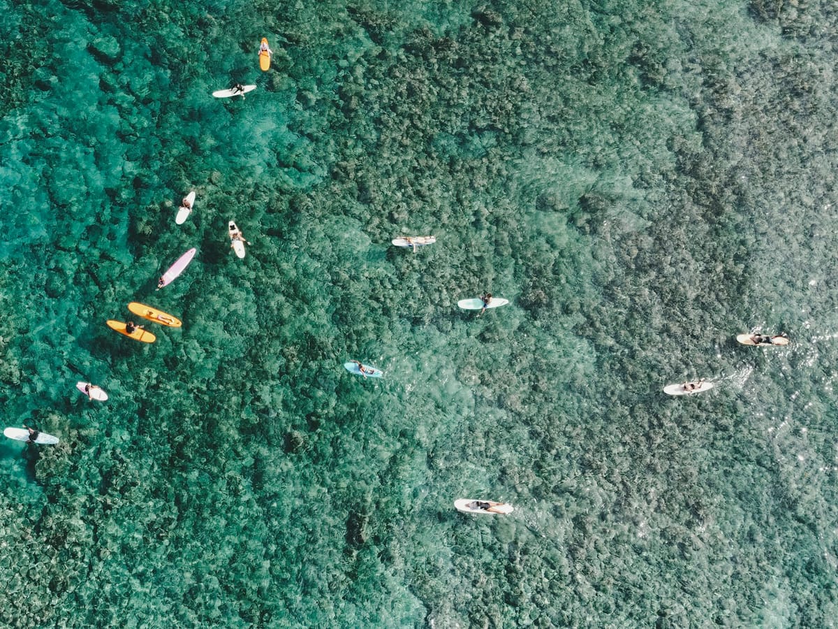 Aerial view of some fifteen surfers lying on their boards above a coral reef in clear, shallow water.