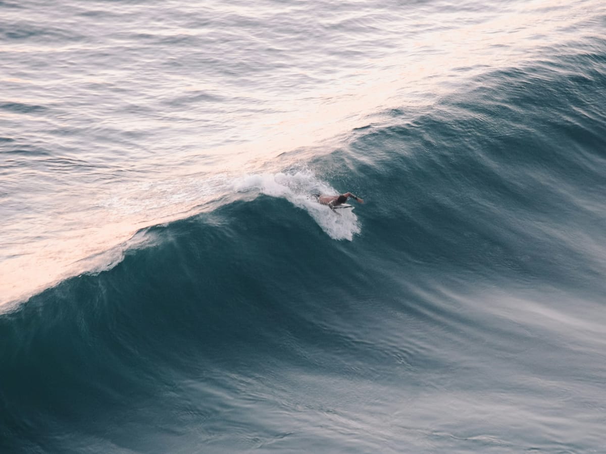 A surfer lying on his board, seen from above, catching a large dark-blue wave in the pink evening light.